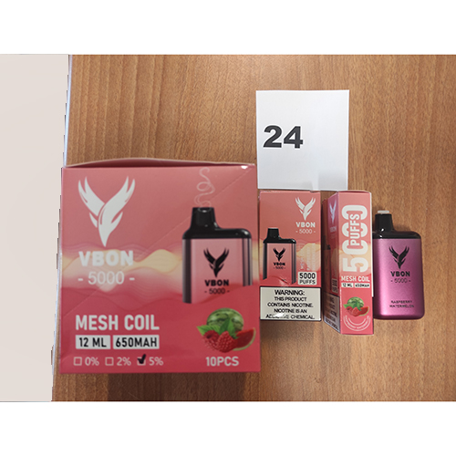Disposable electronic cigarette
