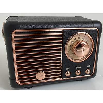 Wireless speaker