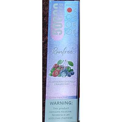 Disposable electronic cigarette