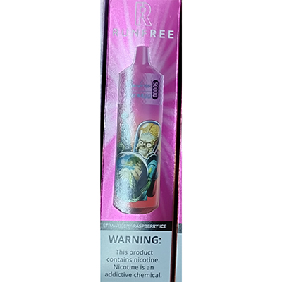 Disposable electronic cigarette