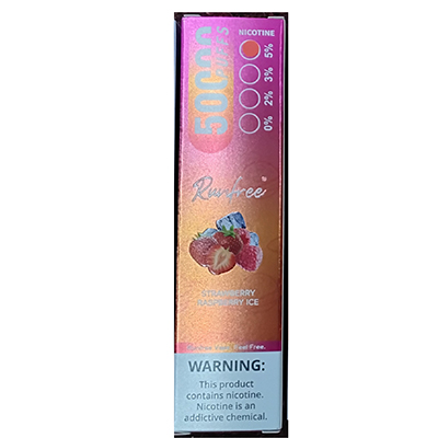 Disposable electronic cigarette