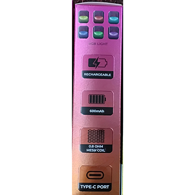 Disposable electronic cigarette