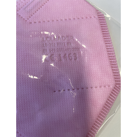 Particle filter mask