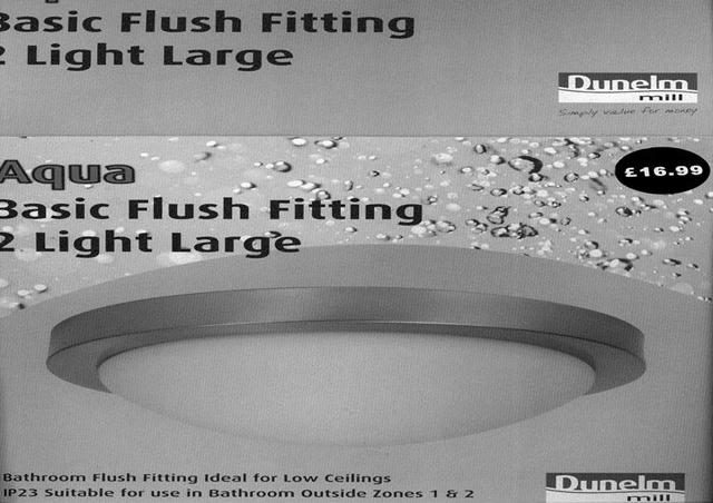 Ceiling light