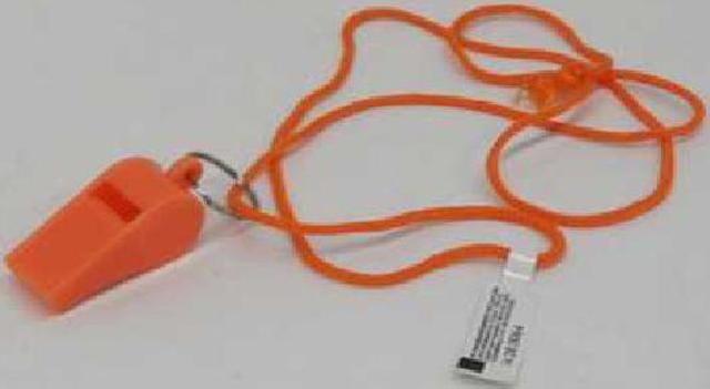 Whistle