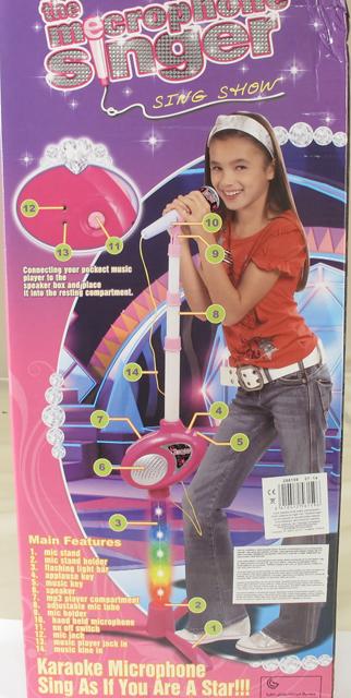 Karaoke microphone