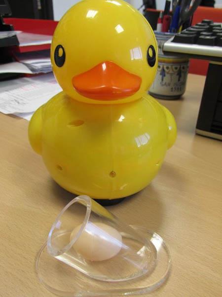 Toy duck