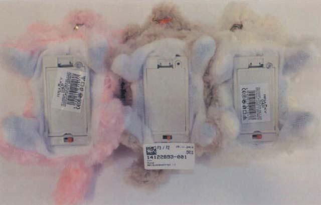 Soft toy dog