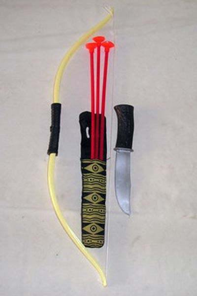 Bow and arrows set