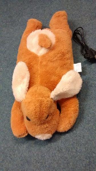 Electric hot water bottle