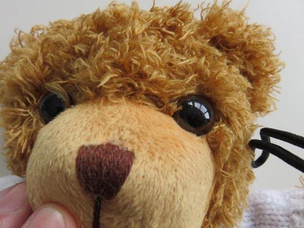 Teddy bear