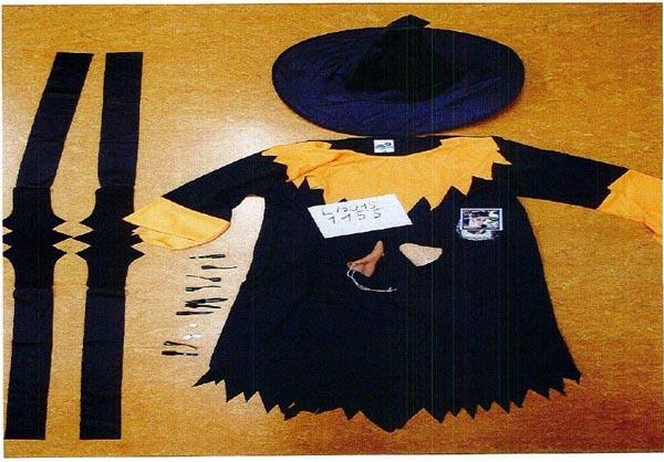 Fancy-dress costume