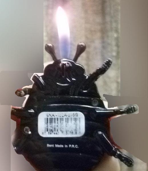 Novelty lighter