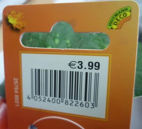 Decorative bunch of grapes