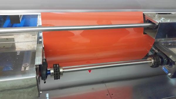 Apple grading and packing machine