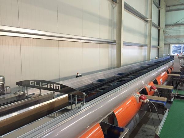 Apple grading and packing machine