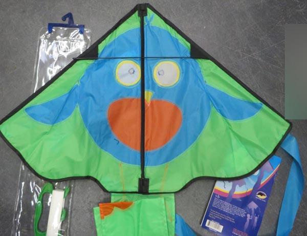 Kite