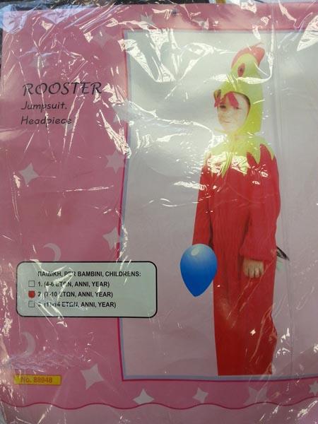 Fancy-dress costume