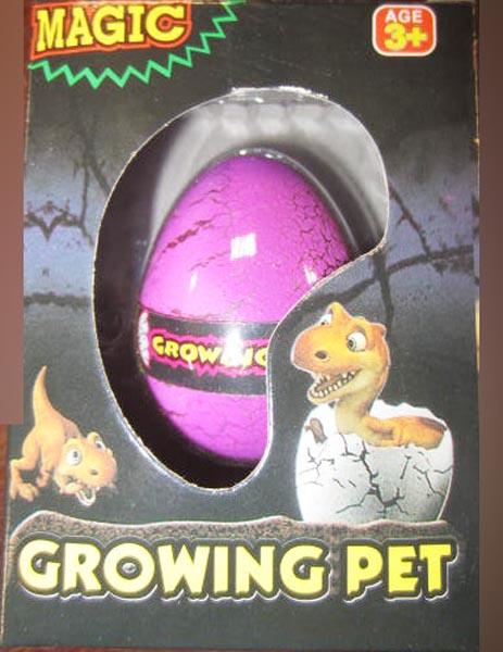 Expandable toys