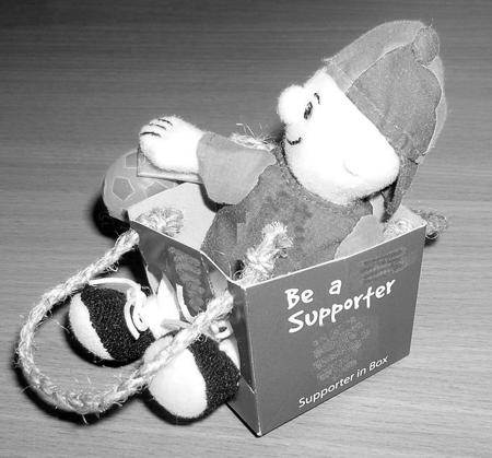 ‘Supporter in a box’