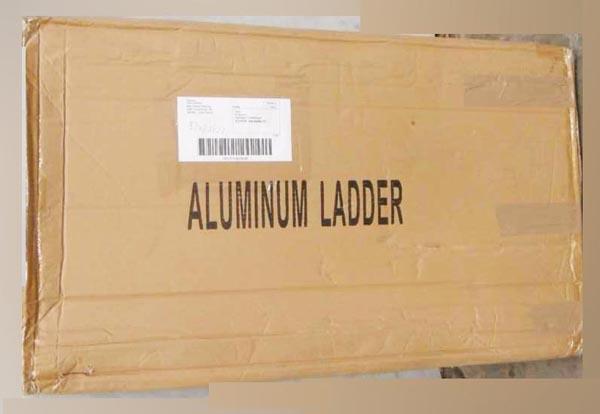 Telescopic ladder