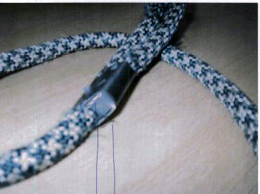 Dog leash