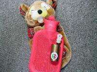 Hot-water bottles with soft toy covers in the shape of different animals: beavers and hippos