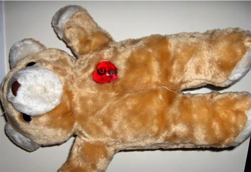 Plush toys – Teddy bear with zip