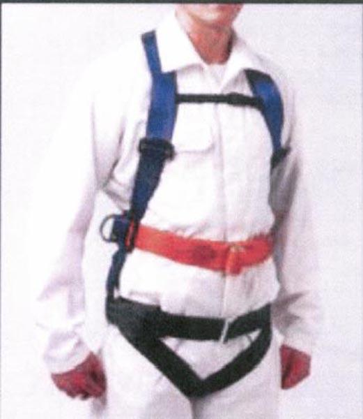 Full body harness
