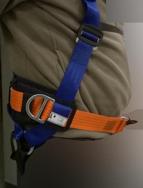 Full body harness
