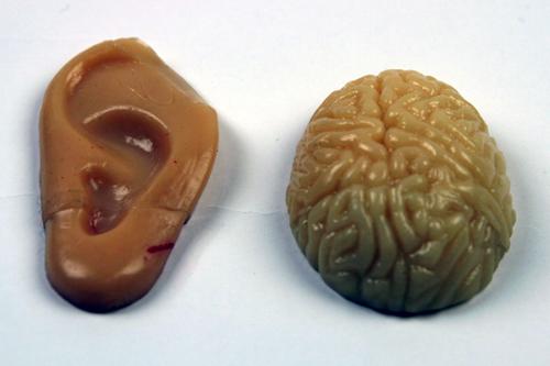 Sticky Ear and Brain