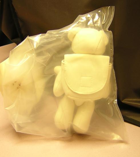 White teddy bear with rucksack