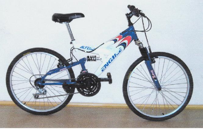 Bicycle ENGINE Alpena MTB 24