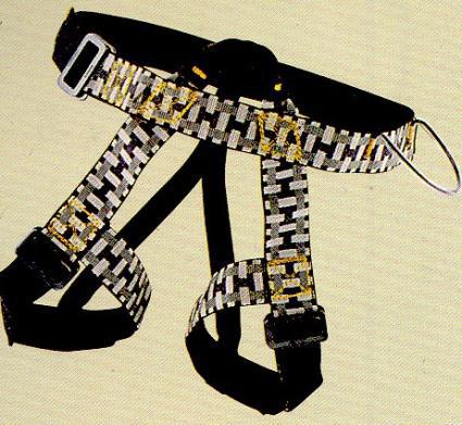 Climbing harness