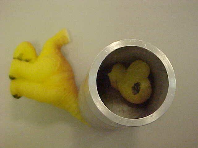 Expanding toys - Magic Growing Pet Egg.