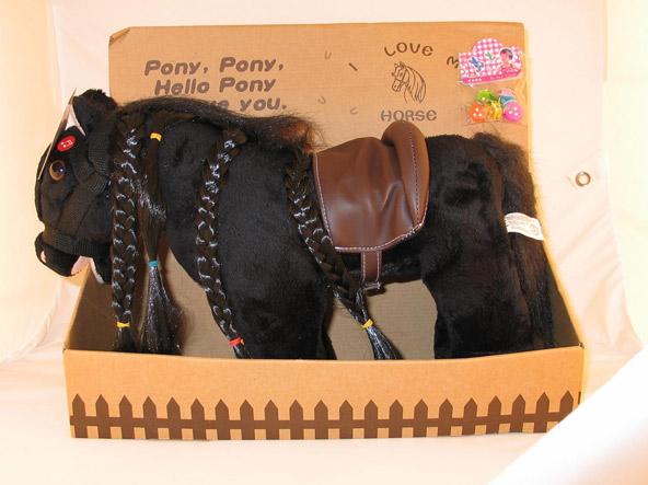 Toy pony.