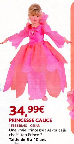 Fancy dress – Princess Calice dress