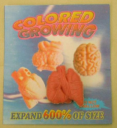 Expanding toy "Expanding Body Parts"