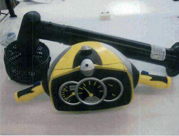 Inflatable toy