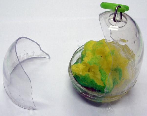 Growing pet (egg and dinosaur)