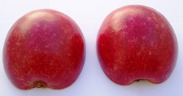 Decorative articles (apple halves and peach)