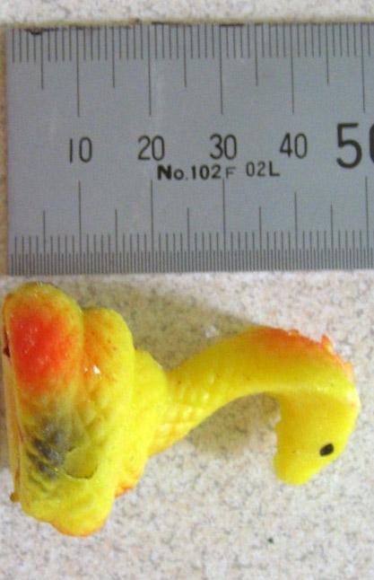 Expanding toy – lizard and snake