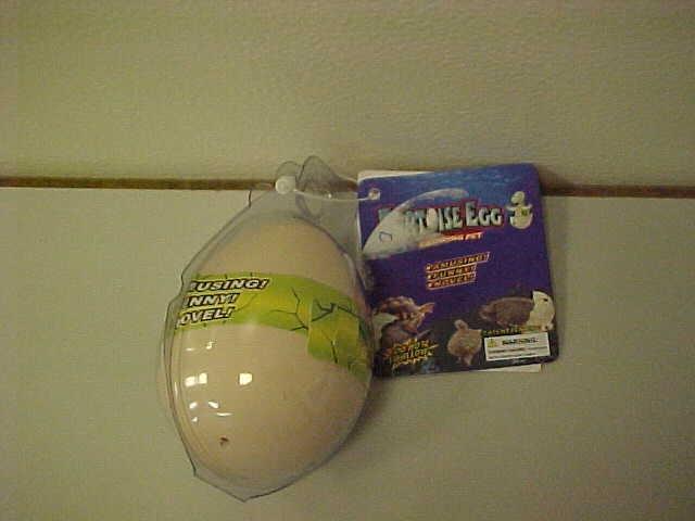 Expanding toys - Tortoise egg growing pet