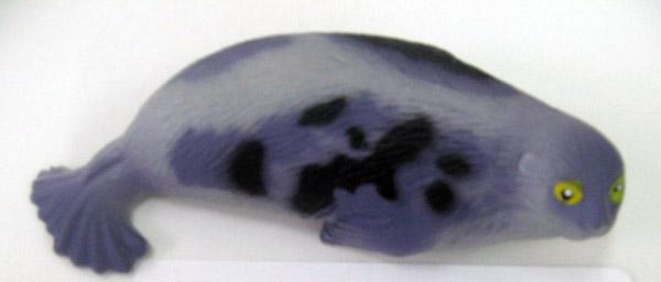 Expanding toy – sea creatures, "Colored growing"