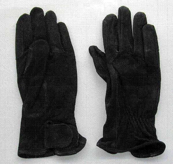 Riding gloves - Reithandschuhe