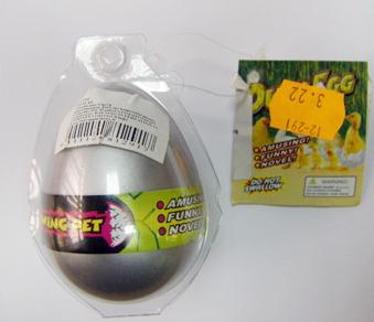 Growing pet - Crocodile egg