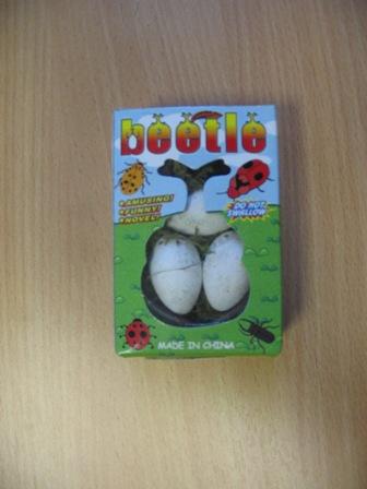 Expanding toy