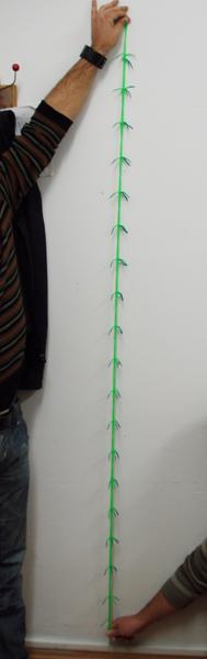 Stretch Centipede