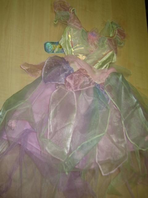 Fancy dress costume - Disney fairies