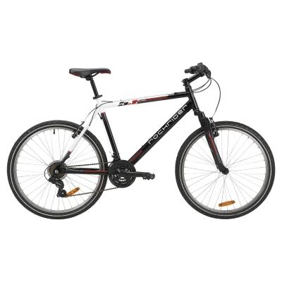 Mountain Bicycle